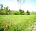 Снимка 4 — Парцел в Габрово, с. Враниловци