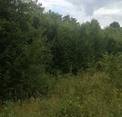 Photo 2 — Plot in Oblast Lovech, Sopot