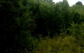 Парцел в Ловеч, с. Сопот