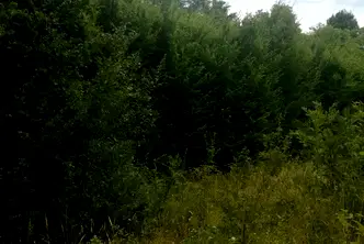 Парцел в Ловеч, с. Сопот
