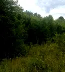 Парцел в Ловеч, с. Сопот