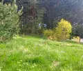 Снимка 2 — Парцел в Пазарджик, Сърница