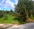 Снимка 3 — Парцел в Пазарджик, Сърница