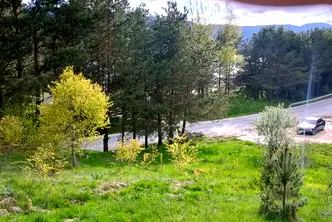 Парцел в Пазарджик, Сърница