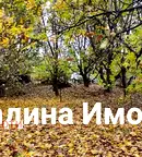 Парцел в Пазарджик, с. Мало Конаре