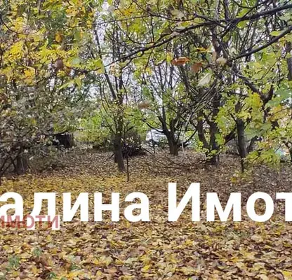 Photo 2 — Plot in Oblast Pazardjik, Malo Konare