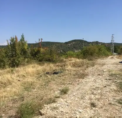 Снимка 3 — Парцел в Пловдив, с. Храбрино
