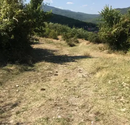 Снимка 4 — Парцел в Пловдив, с. Храбрино