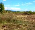 Снимка 4 — Парцел в Пловдив, с. Марково