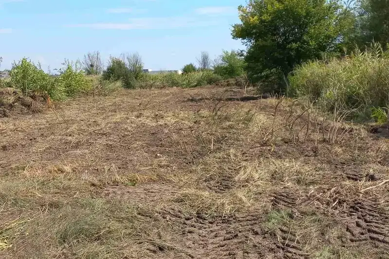 Plot in Oblast Plovdiv, Markovo