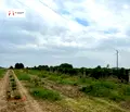 Снимка 4 — Парцел в Пловдив, с. Марково