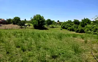 Парцел в Русе, Ветово