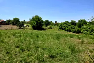 Парцел в Русе, Ветово