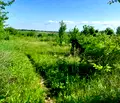 Снимка 2 — Парцел в Русе, с. Иваново