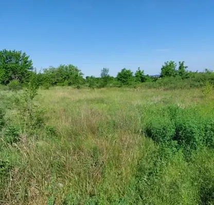 Снимка 3 — Парцел в Русе, с. Иваново