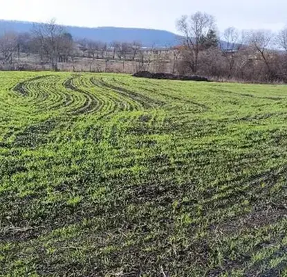 Photo 4 — Plot in Oblast Shumen, Gradishte