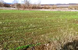 Парцел в Шумен, с. Градище
