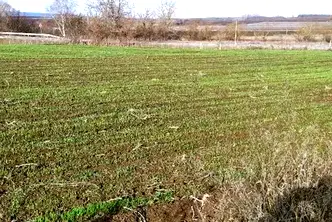 Парцел в Шумен, с. Градище