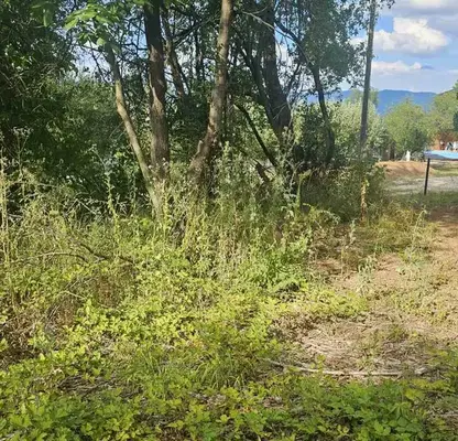 Photo 2 — Plot in Sofia, Botev