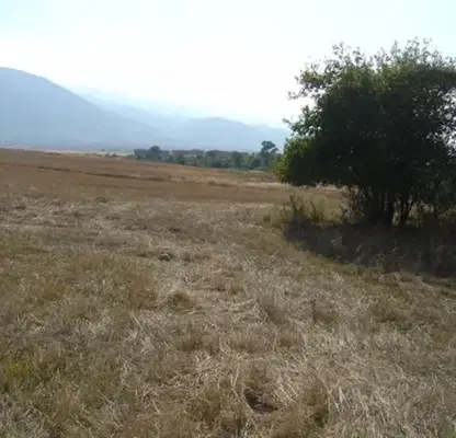 Photo 4 — Plot in област София, Dolna Banya