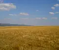 Снимка 5 — Парцел в София, Долна баня