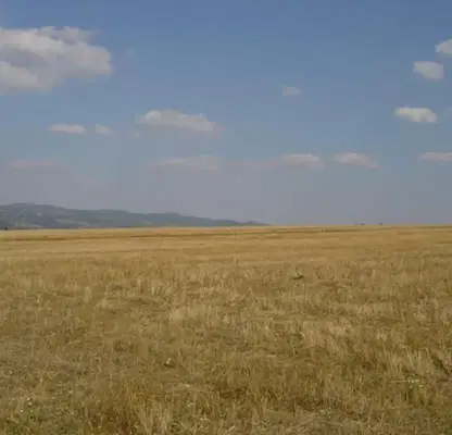 Photo 5 — Plot in област София, Dolna Banya