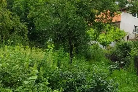 Парцел в София, Своге