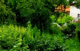 Парцел в София, Своге