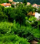 Парцел в София, Своге