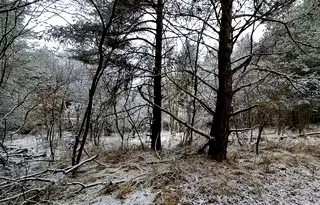 Парцел в София, в.з.Ярема