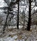 Парцел в София, в.з.Ярема