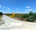 Снимка 5 — Парцел в София, с. Алдомировци