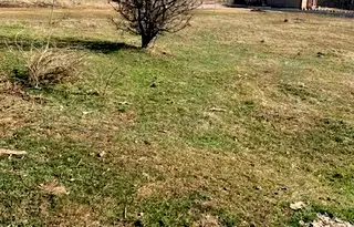 Парцел в София, с. Буново