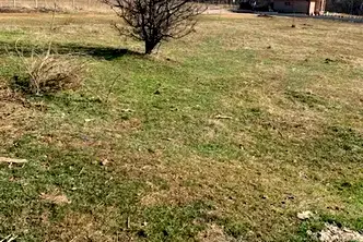 Парцел в София, с. Буново