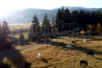 Парцел в София, с. Говедарци