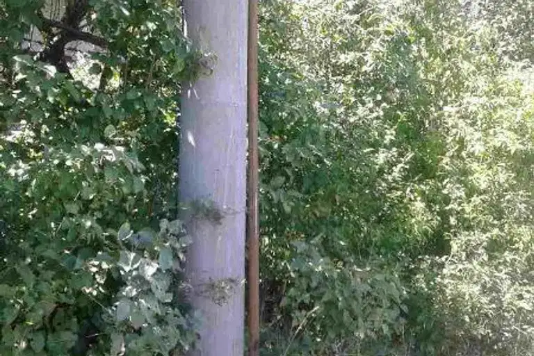 Парцел в София, с. Реброво
