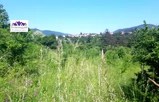 Парцел в София, с. Владо Тричков