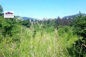Парцел в София, с. Владо Тричков