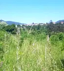 Парцел в София, с. Владо Тричков