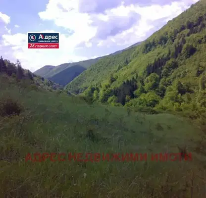 Снимка 4 — Парцел в Стара Загора, с. Селце