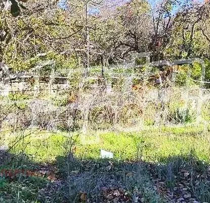 Photo 3 — Plot in Oblast Varna, Byala