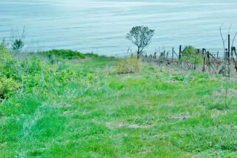Plot in Oblast Varna, Byala