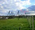 Снимка 4 — Парцел във Варна, с. Детелина