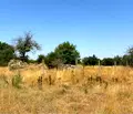 Снимка 2 — Парцел във Варна, с. Казашка река