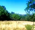 Снимка 2 — Парцел във Варна, с. Приселци