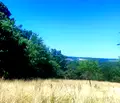 Снимка 5 — Парцел във Варна, с. Приселци