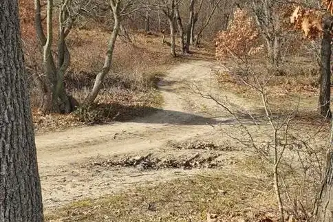 Парцел във Варна, с. Самотино