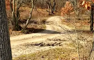 Парцел във Варна, с. Самотино