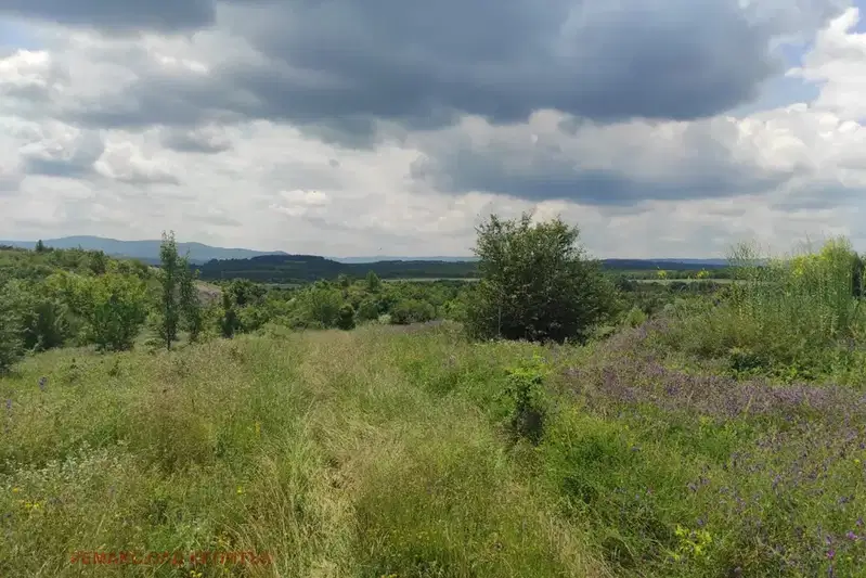 Парцел във Велико Търново, Дебелец