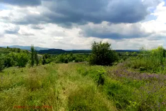 Парцел във Велико Търново, Дебелец